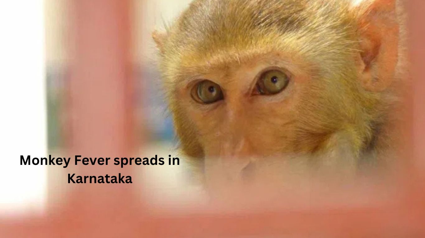 Monkey-Fever-spreads-in-Karnataka-the-bharat-buzz